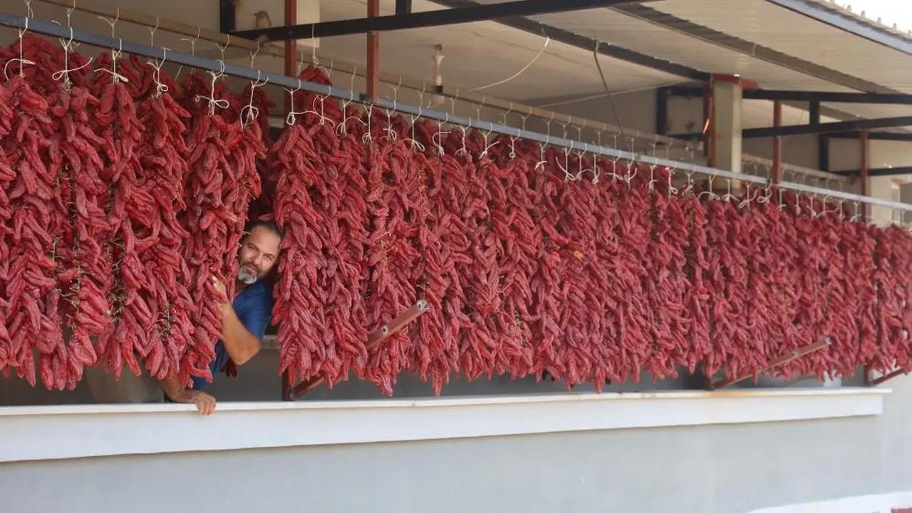 Acısı zehir, kazancı tatlı: Demeti 500 TL'den satılıyor!
