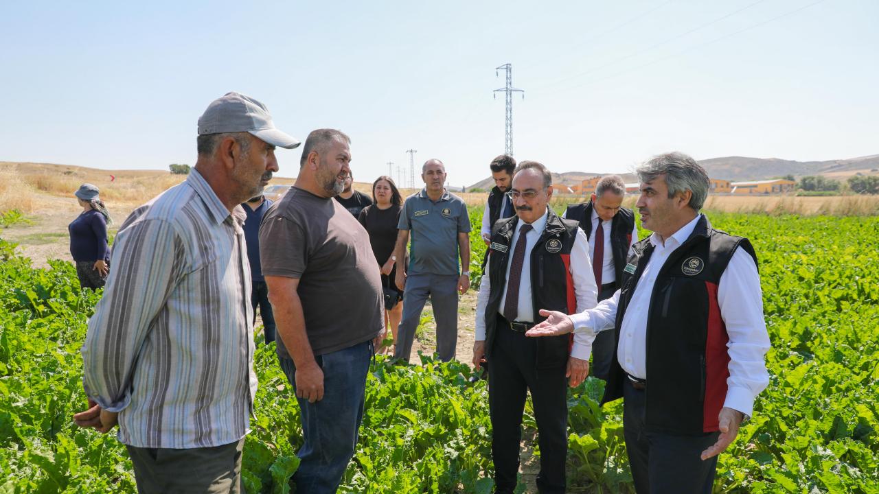 TÜRKŞEKER yeni üretim hedefini açıkladı: 14 fabrika 85 milyonun malıdır