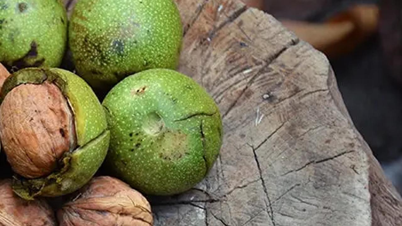 Düzenli tüketenler yaşadı: Damarları temizleyip kötü kolesterolü düşürüyor!