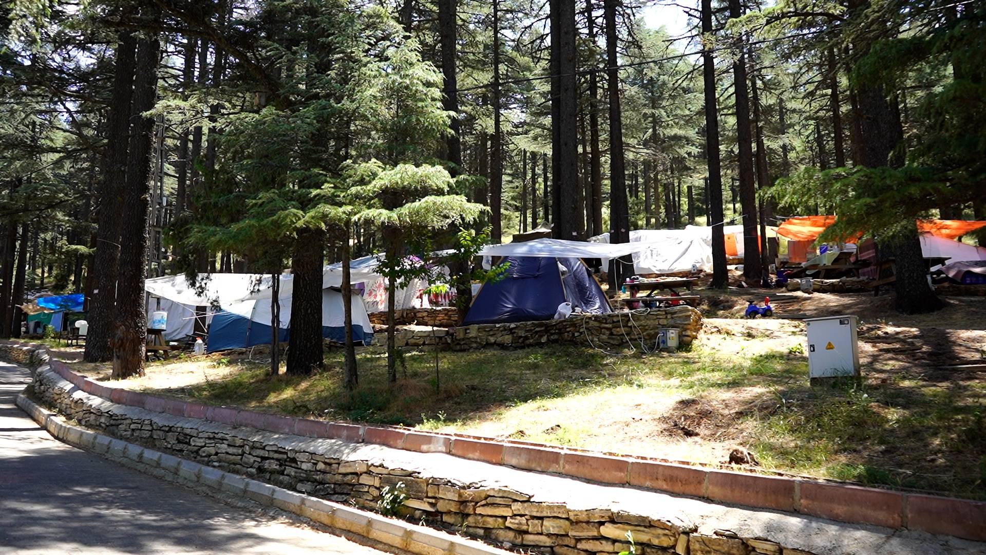Temiz havasıyla şifa, doğasıyla huzur: Kızıldağ Milli Parkı ziyaretçi akınına uğruyor