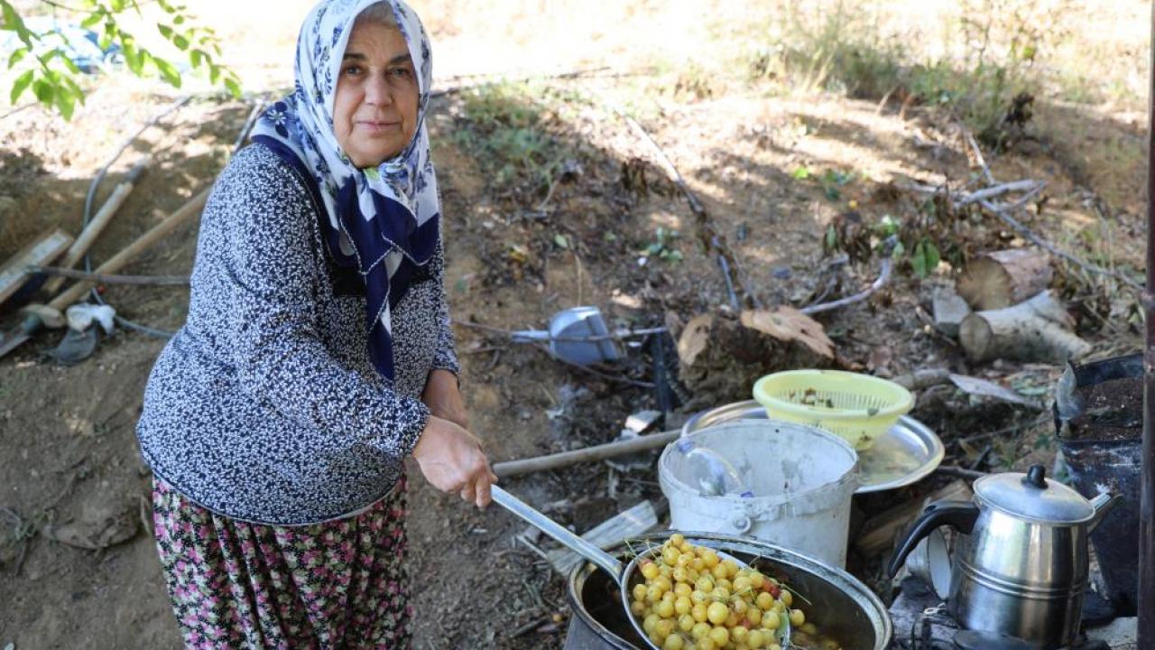 Satılamayan kirazlar kurutularak kışlık çerez oluyor!