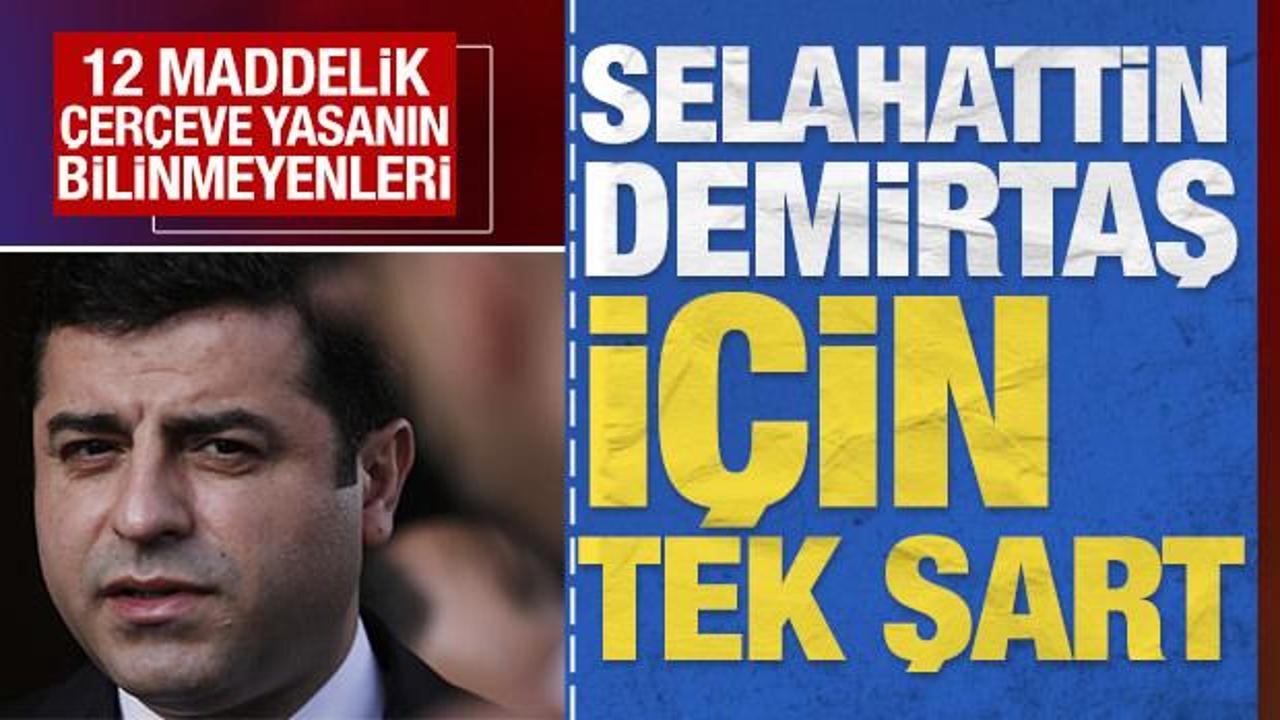Selahattin Demirtaş için 'tek' şart: 12 maddelik çerçeve yasanın bilinmeyenleri