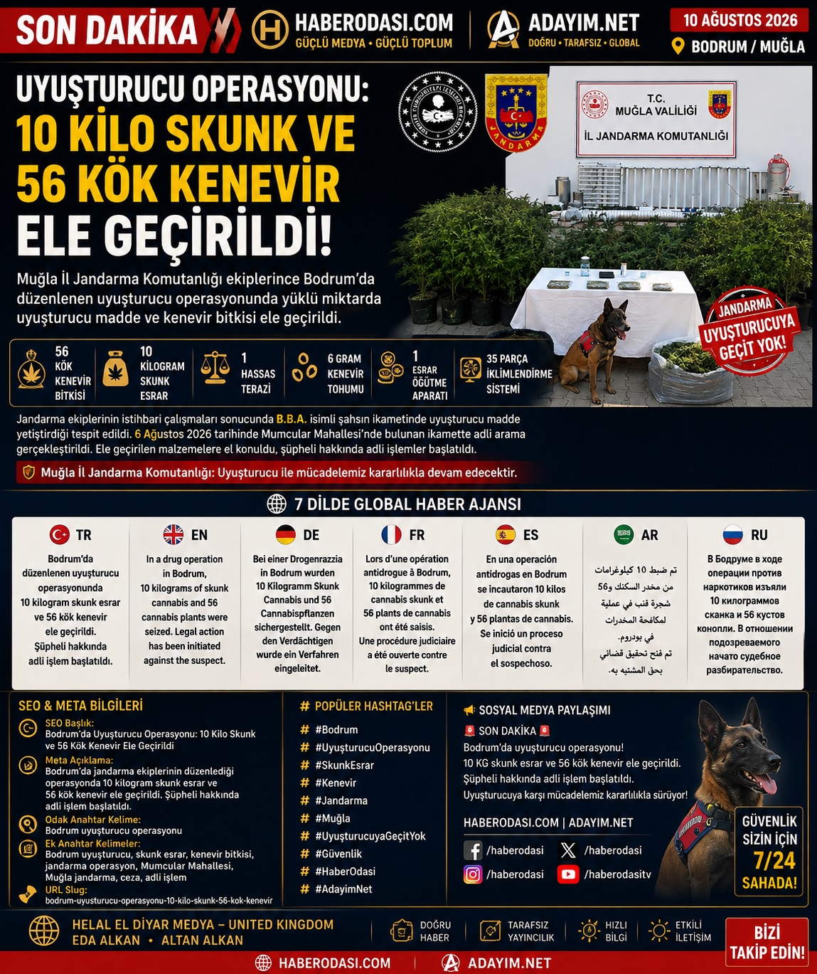 🚨 SON DAKİKA | BODRUM’DA UYUŞTURUCU OPERASYONU: 10 KİLO SKUNK VE 56 KÖK KENEVİR ELE GEÇİRİLDİ