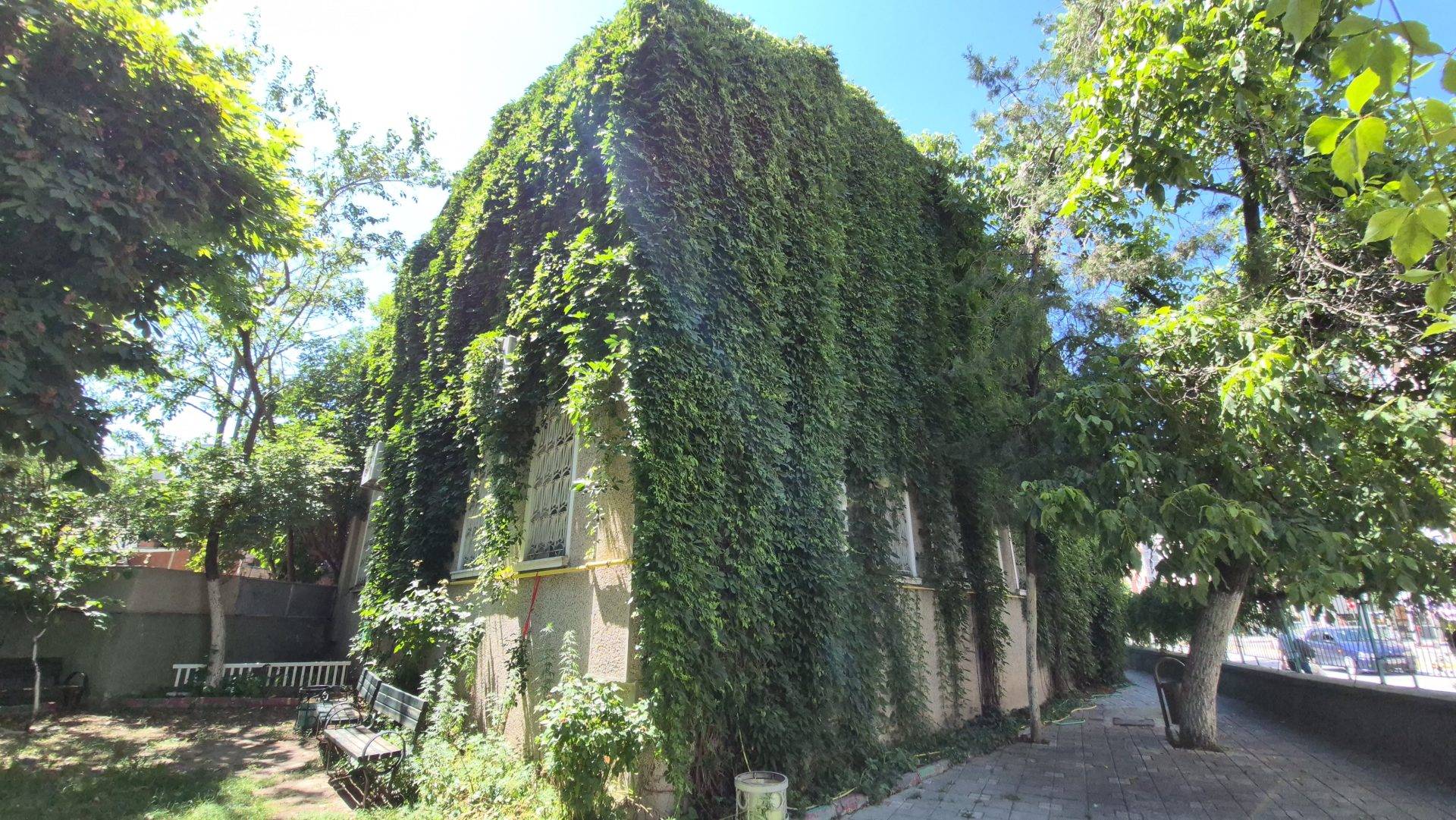 Her görenin hayran kaldığı ilginç cami: Eskişehir’deki Sarmaşıklı Camii ona emanet
