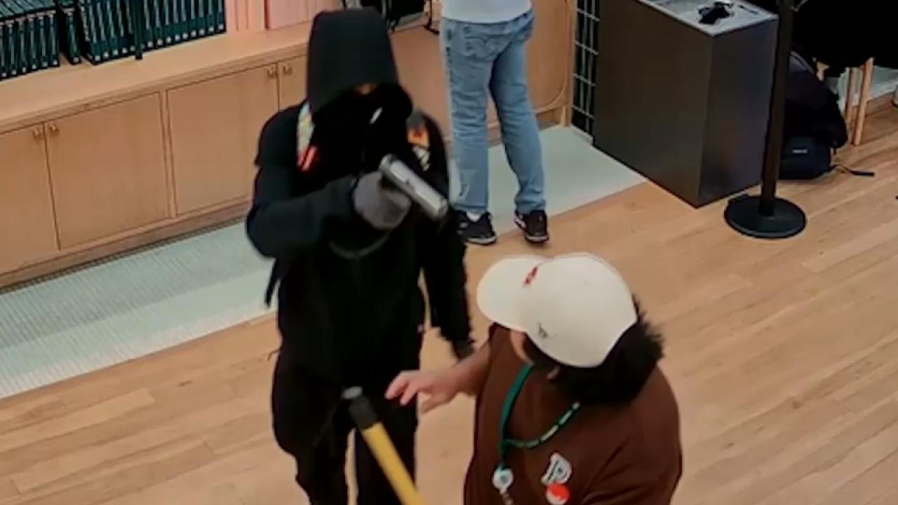 Fransa'da ilginç soygun: Ne para ne altın! Değeri şaşkına çevirdi