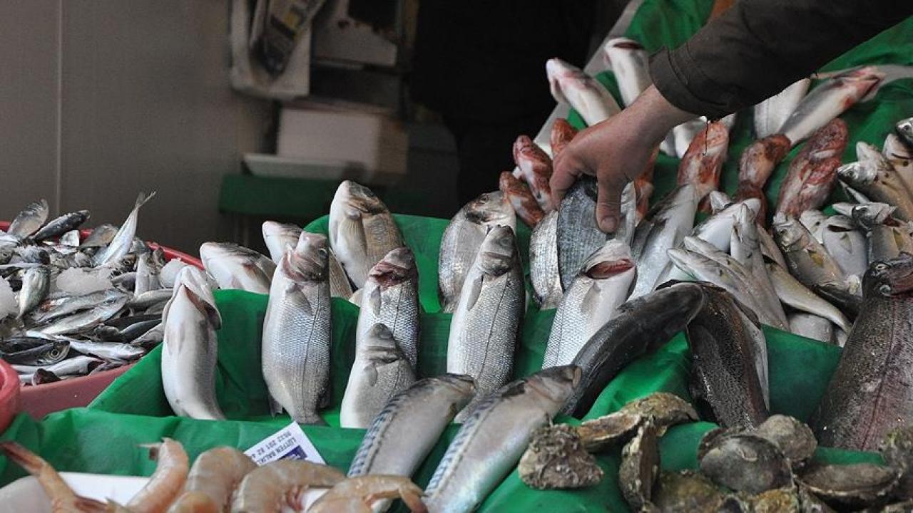 Balıkçıları sevindiren gelişme! Beklenen karar resmileşti