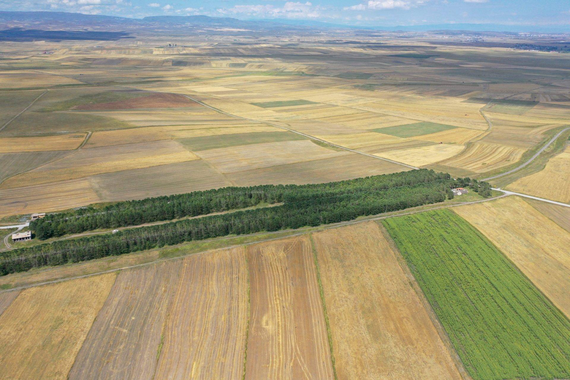 Çölde bir vaha gibi: Kars’ın Benli Ahmet Tren İstasyonu 57 yıllık emeği yansıtıyor
