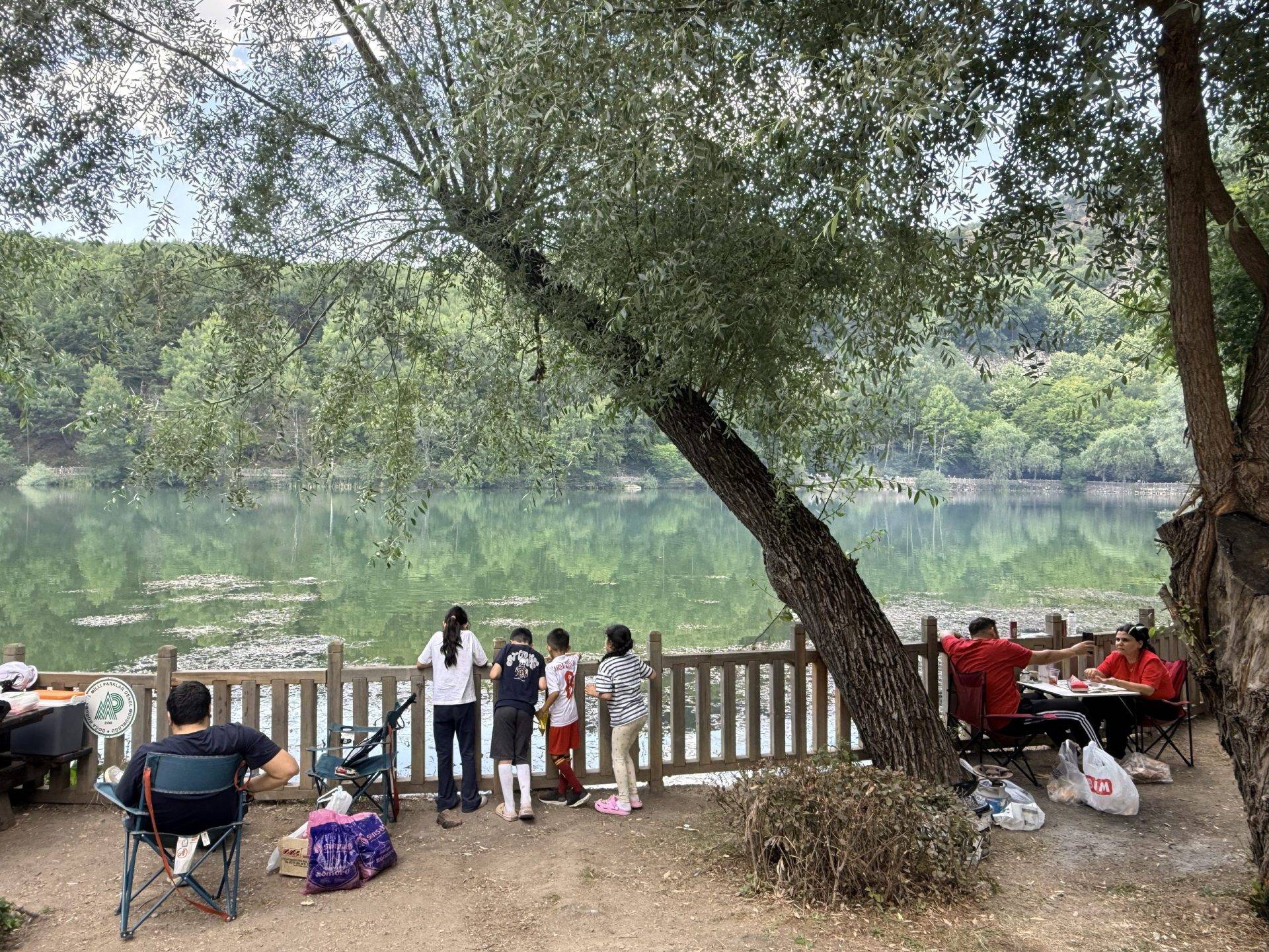 Ankaralılar yer bulmak için yarıştı! 1600 rakımdaki Karagöl Tabiat Parkı’na yoğun ilgi