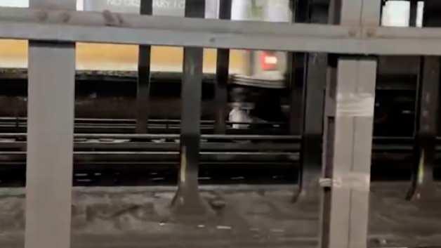 New york metrosunda dehşet anları: Arkadaşını kurtarmak isterken can verdi