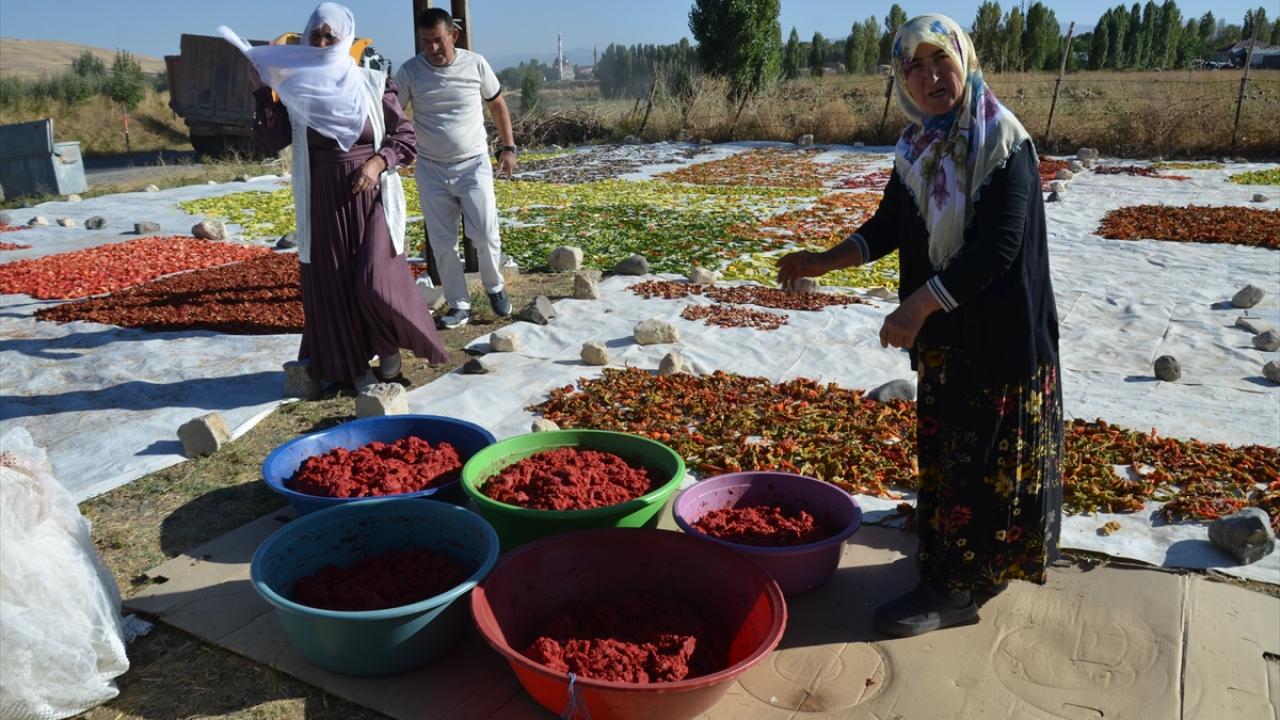 Bölgede rakibi yok! Kış sofralarının vazgeçilmezi: 25 dönümlük tarladan Avrupa'ya gidiyor