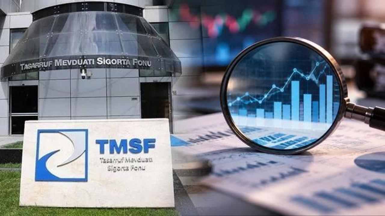 TMSF'den Destek Yatırım Bankası kararı: Yeni yönetim atandı