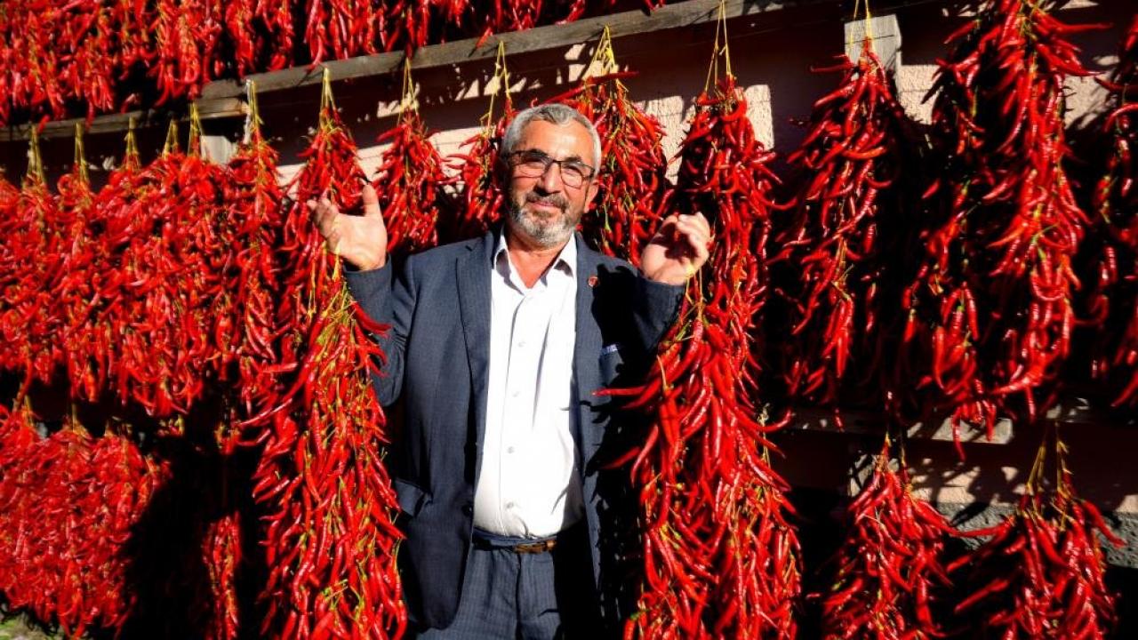 Hasat bitti, köy kırmızıya boyandı: Bu köyü görmek için tur düzenliyorlar!