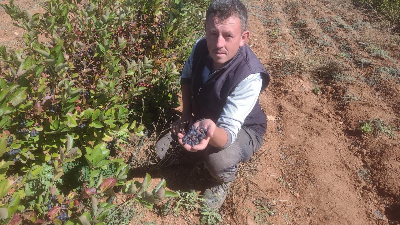 İlaç niyetine tüketiliyor! Şifa deposu diye satıyorlar! 1 kilodan 8 litre meyve suyu