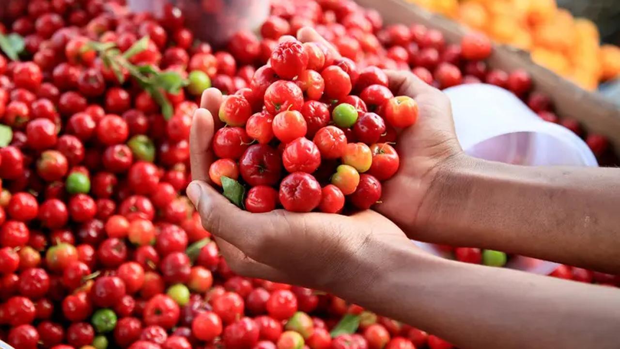 Yeşil altın deniyor: Limona açık ara fark attı! 60 kat daha vitaminli